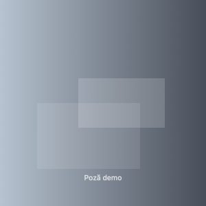 Nume client