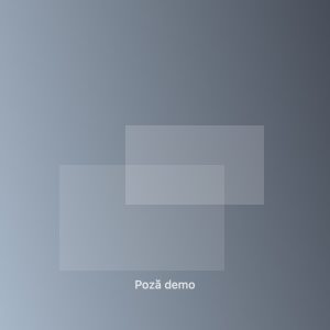 Nume client